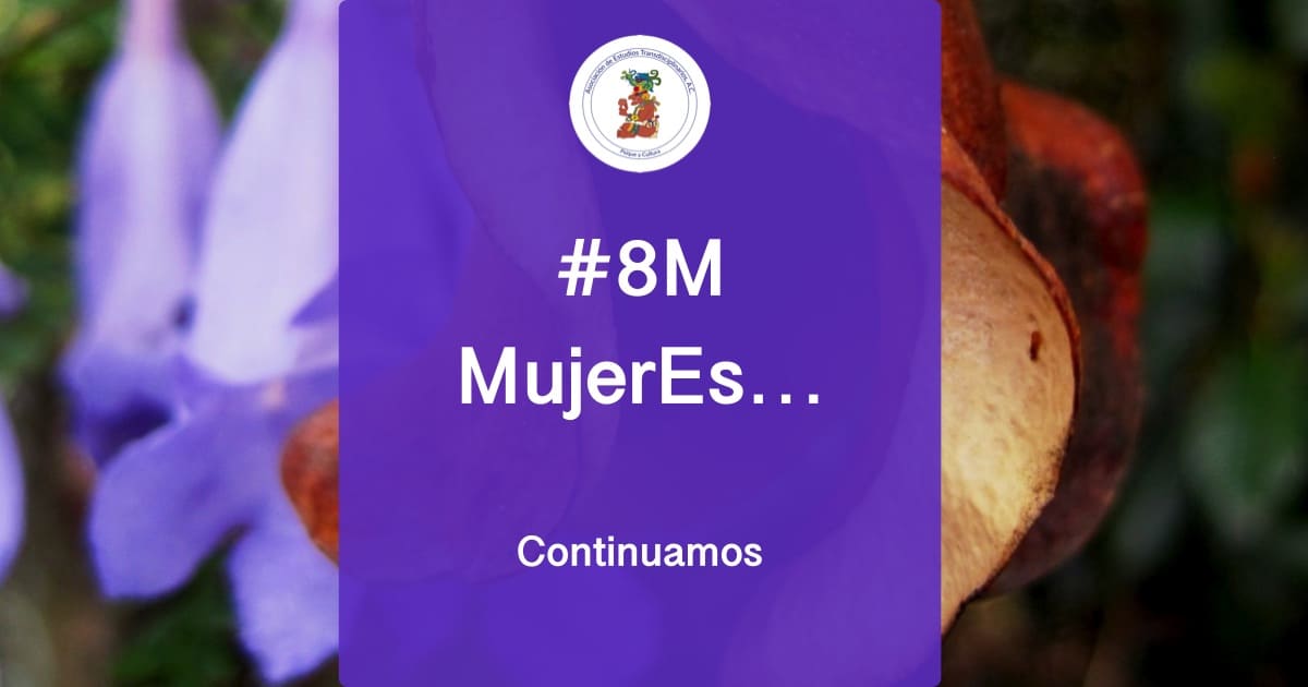 8 de marzo continúa