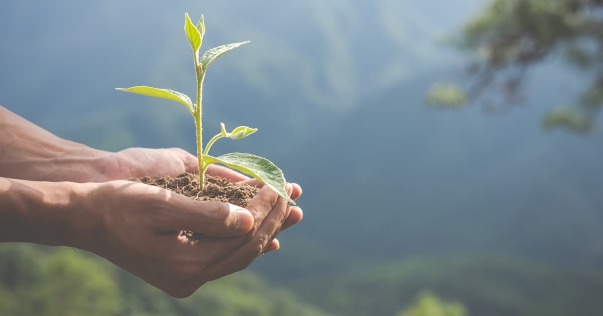Día mundial del medio ambiente