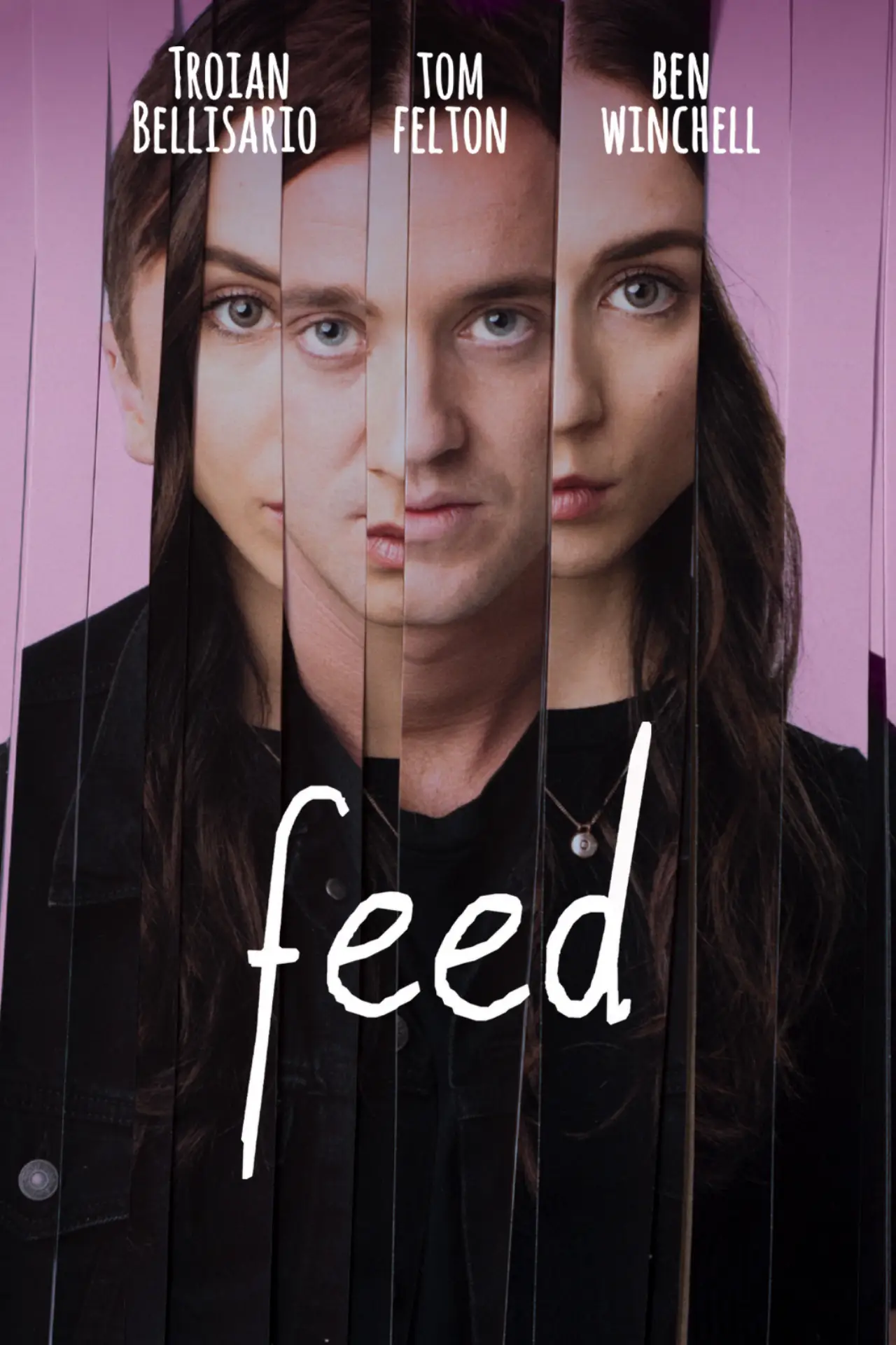 Feed